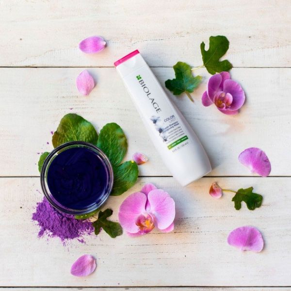 Шампунь Biolage для устранение желтизны 250 мл