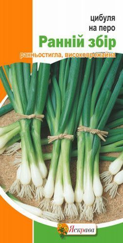 Семена лук репчатый Ранний сбор 1г