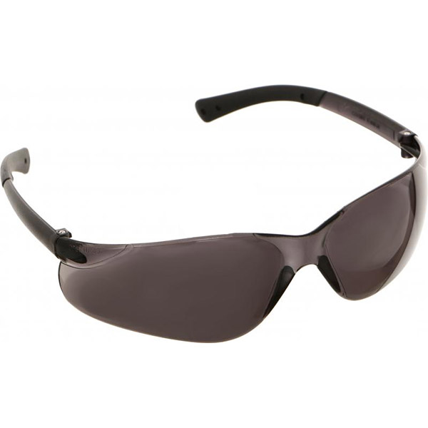 Очки защитные Reis MCR-BEARKAT SB