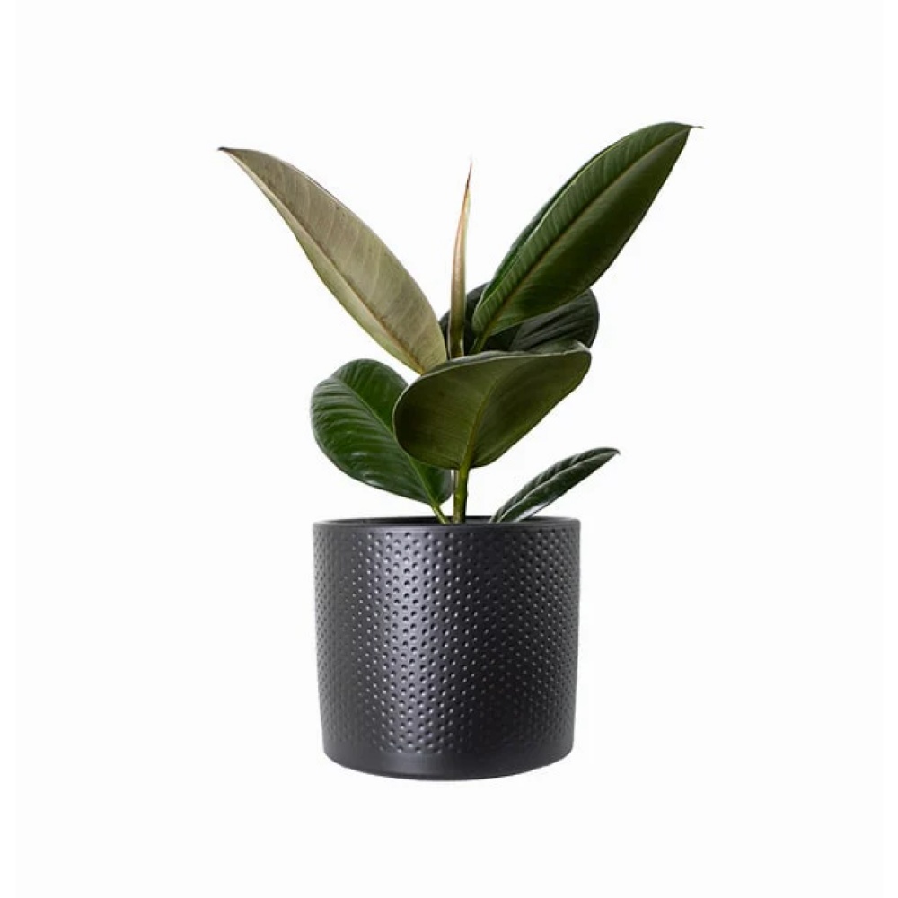 Вазон кераміка Era pot round 23х21,5 см круглий чорний матовий Edelman (1061607)