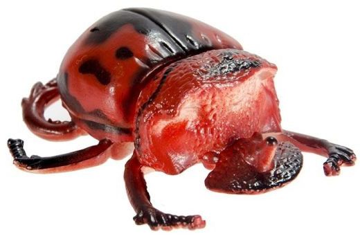 Игровой набор Wing Crown Насекомые и рептилии T33706 