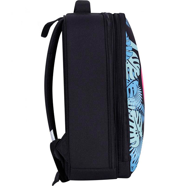 Рюкзак шкільний Bagland Turtle 17 л чорний суб.799 13466