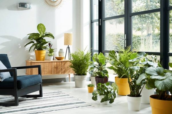 Вазон пластиковый Elho b.for original round 331511 круглый 13,1 л вишневый 