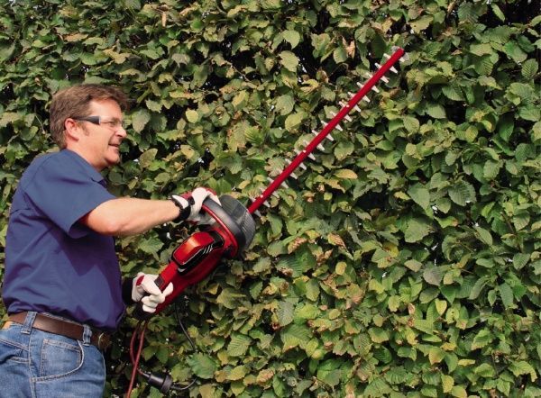 Кущоріз Einhell GC-EH 5550/1