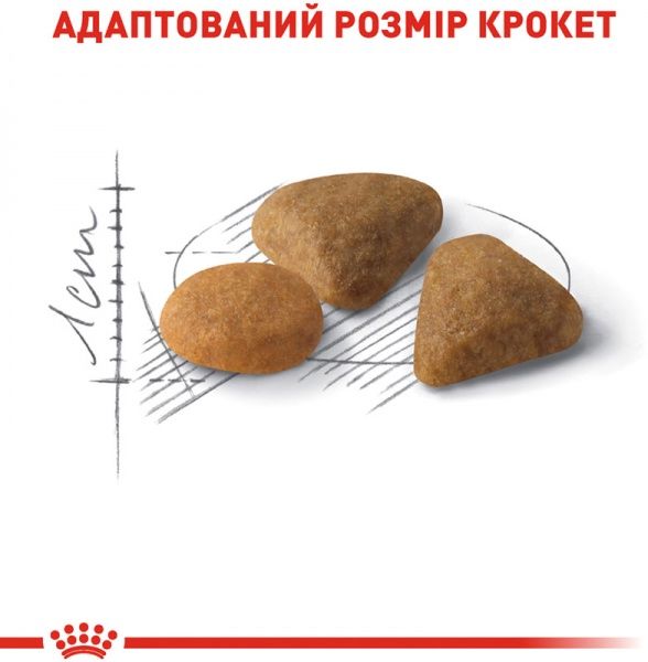 Корм Royal Canin для кошек SAVOUR EXIGENT (Савур Эксиджент), 4 кг