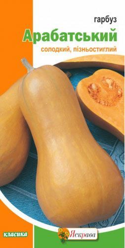 Семена тыква Арабатский 2г