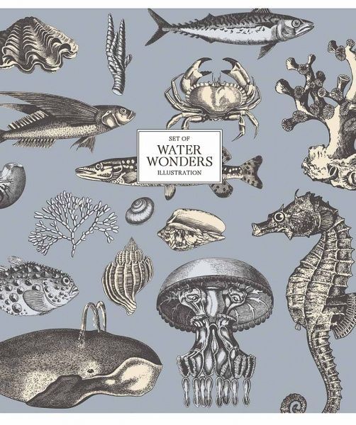 Тетрадь школьная Water Wonders B5 96 листов в линию Школярик