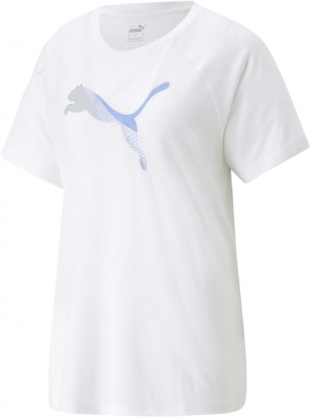 Футболка Puma EVOSTRIPE TEE 67306602 р.M білий