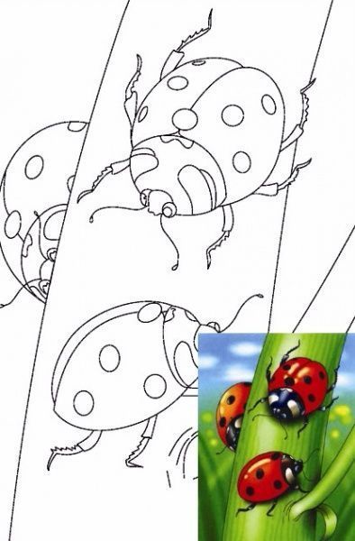 Полотно на картоні з контуром Мультфільм № 4 Етюд 