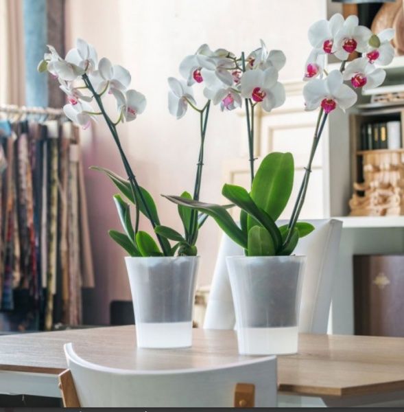 Горшок пластиковый Santino Arte-Dea круглый 2 л дымчатый (ADEA20TRA) 