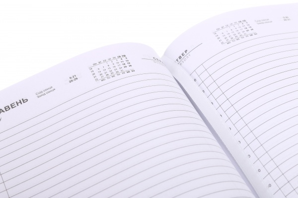 Щоденник датований Хвиля впевненості Nota Bene Art A5 2024