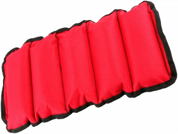 Утяжелители Champion ОБ 2x2,5 кг 