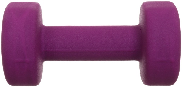 Набір гантелей MAYO Mayneodum-4.0 2х4 кг фіолетовий 