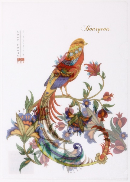 Папка-уголок A4 цветная печать P0142 в ассортименте Bourgeois 