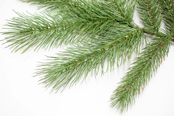 Гілочка декоративна лита хвоя 60 см ВЕТ-5 