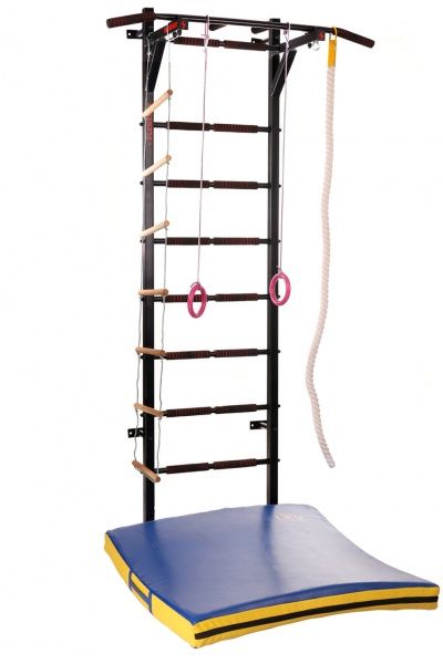 Шведська стінка PLENERGY Monster Pro чорна SH003-BK 