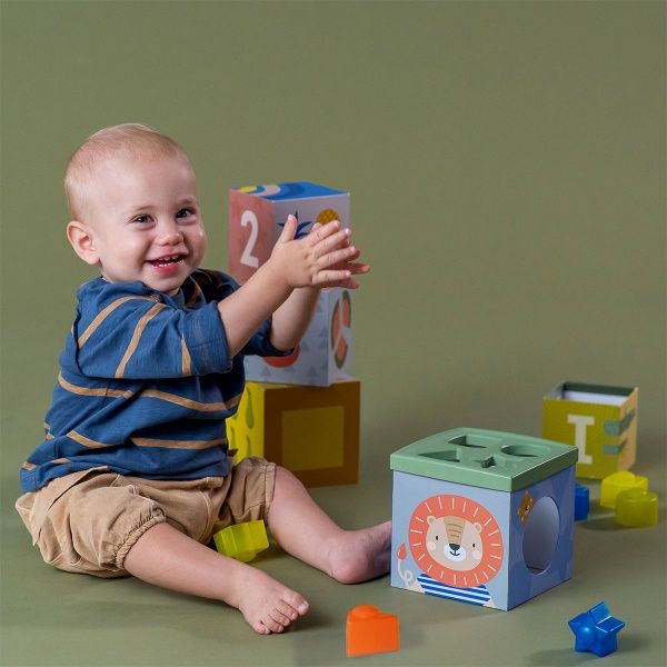 Сортер Taf Toys Кубики Африка 12725