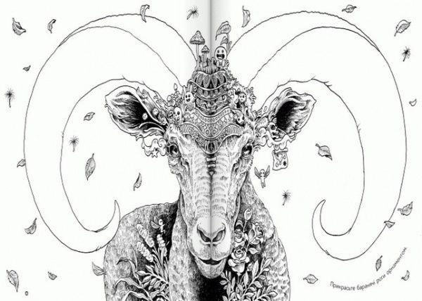 Книга Кербі Розанес «Аніморфія» 978-617-09-2670-8