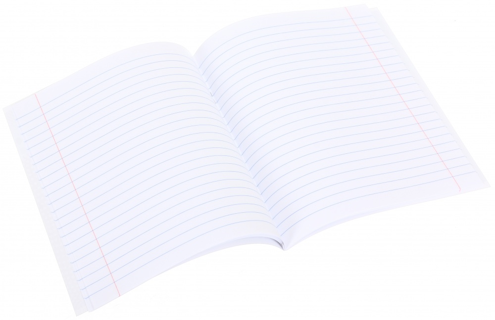 Тетрадь школьная 24 листа линия 2024_2 Nota Bene