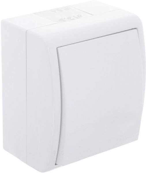 Выключатель одноклавишный Simon Aquarius без подсветки 10 А 250В белый AQW1/11
