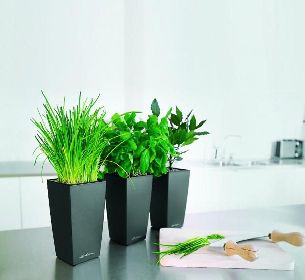 Вазон пластиковий Lechuza Maxi Cubi 18053 квадратний 1,5 л антрацит 