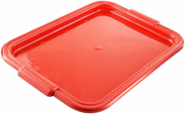 Таця 47x32 см 21154