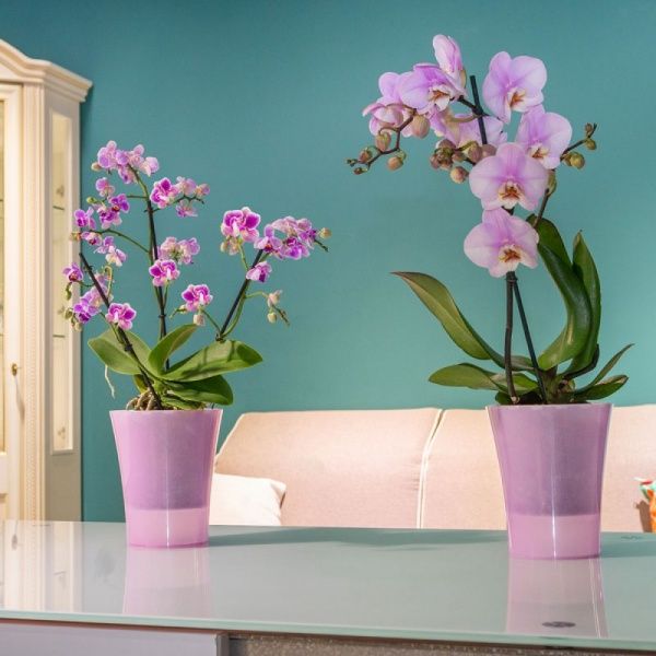 Горшок пластиковый Santino Arte-Dea круглый 2 л лотос (ADEA20PNK) 