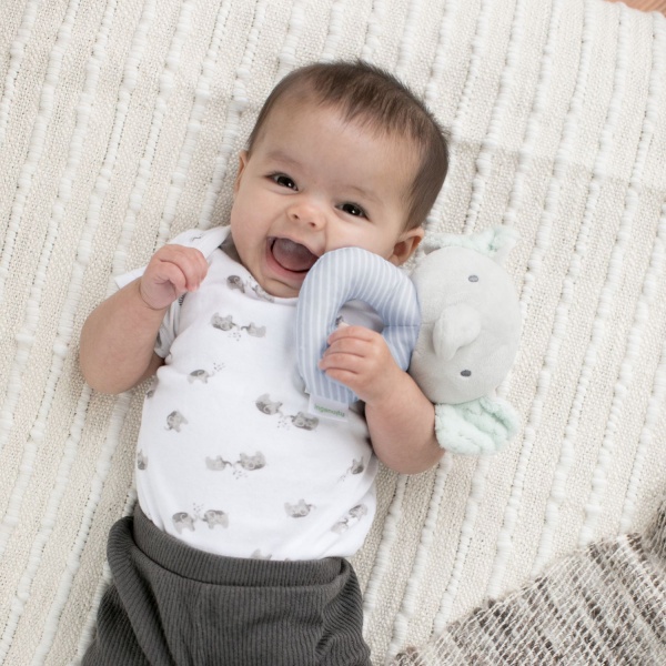 Брязкальце Ingenuity Van 12372