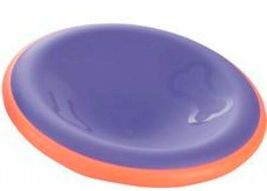 Фрисби двухцветное Р589, d22,3 см