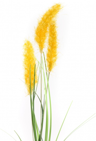 Веточка декоративная Камыш 40 см в ассортименте (Epi-TLY200309)