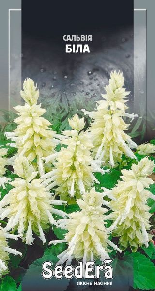Семена Seedera сальвия блестящая белая 0,1 г