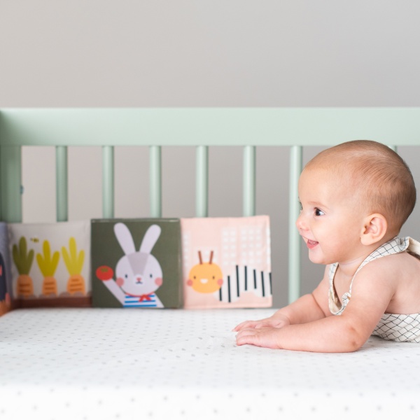 Іграшка Taf Toys Садочок у місті Зайчики 13065