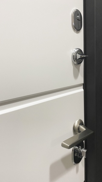 Дверь входная Министерство дверей ФЛАГМАН венге серый горизонт 2050x960 мм левая