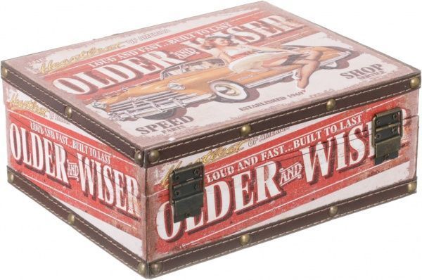 Ящик для хранения Older and wiser 25х20х20 см