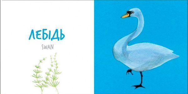 Книга «Книга. Птах» 9786177395262