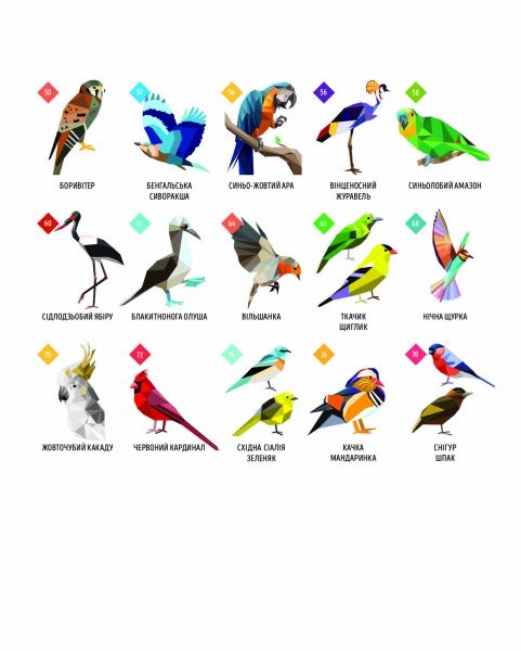 Раскраска по номерам «Зоометрія. Дивовижні птахи» 9-786-177-579-914