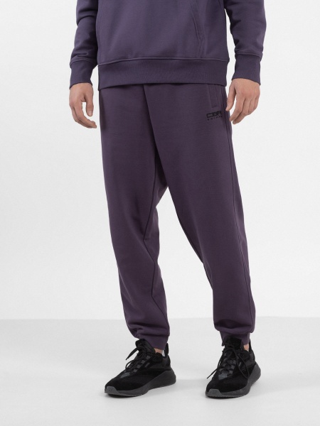 Штани 4F TROUSERS CAS M466 4FAW23TTROM466-60S р. L фіолетовий