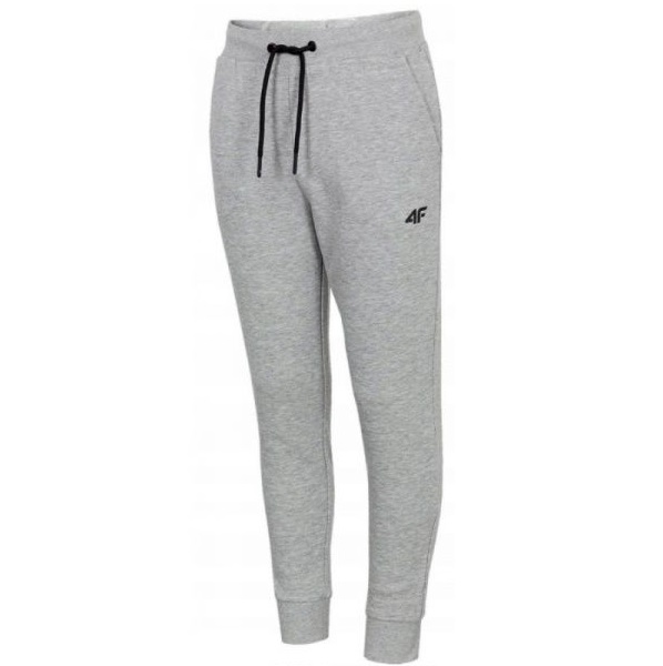 Штани 4F HJZ20-JSPMD001-27M р. 140 сірий