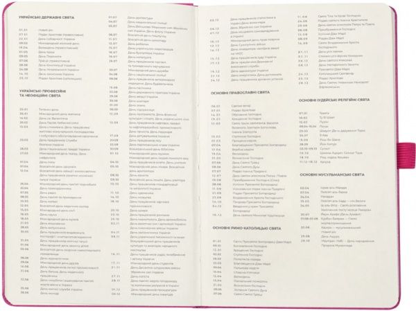 Щотижневик 2020 Partner Strong 8505-20-10-a рожевий Axent 42815 