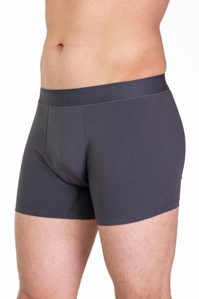 Труси-шорти чоловічі KOSTA XL (50) сірий