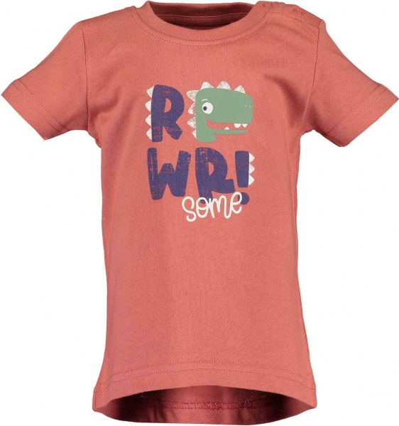 Футболка для мальчиков Blue Seven р.74 928121 X_291_р.74 