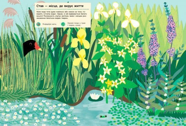 Книга «Моя книга природы: Река и пруд» 978-617-09-4098-8