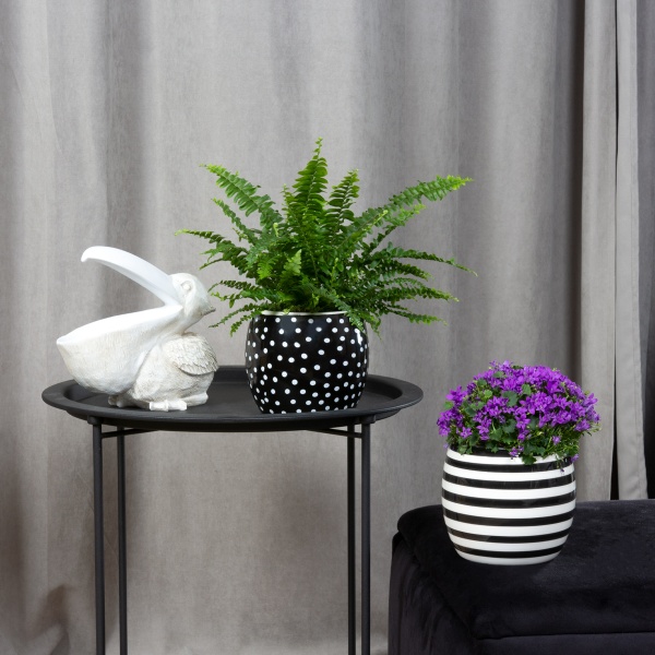 Кашпо керамическое МВМ DH-FLOWERS-27 WHITE/BLACK 13 см Черно-белый 