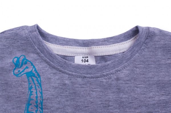 Футболка для хлопчиків Luna Kids з принтом T-Rex р.110 сірий меланж 