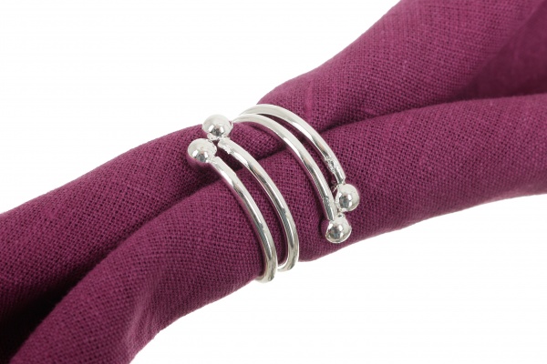 Набор колец для салфеток Silver Branch 6 шт