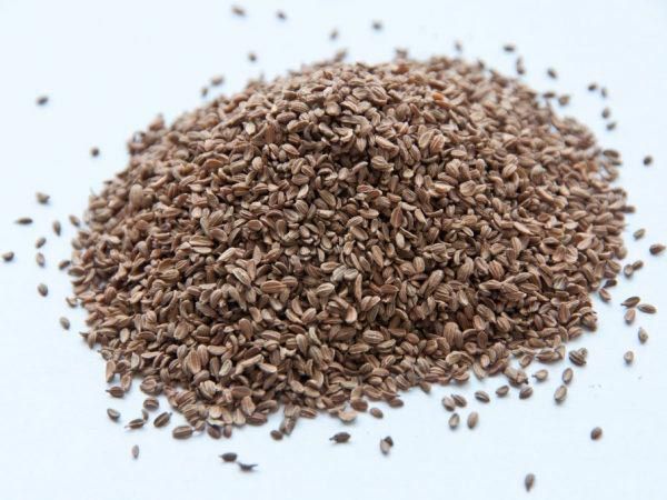 Насіння Садовий Світ морква Каротель 2г