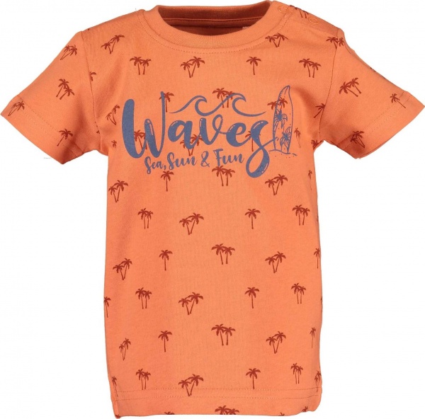 Футболка для мальчиков Blue Seven р.80 оранжевый 928119 X_234_р.80 