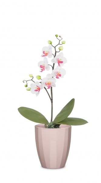 Кашпо для орхидей Scheurich Elegance круглый 1,15л нежно-розовый 