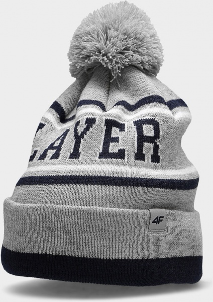 Шапка 4F CAP JCAM005 HJZ22-JCAM005-27M р.OS сірий