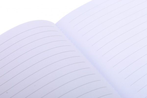 Блокнот Insects A5 80 аркушів